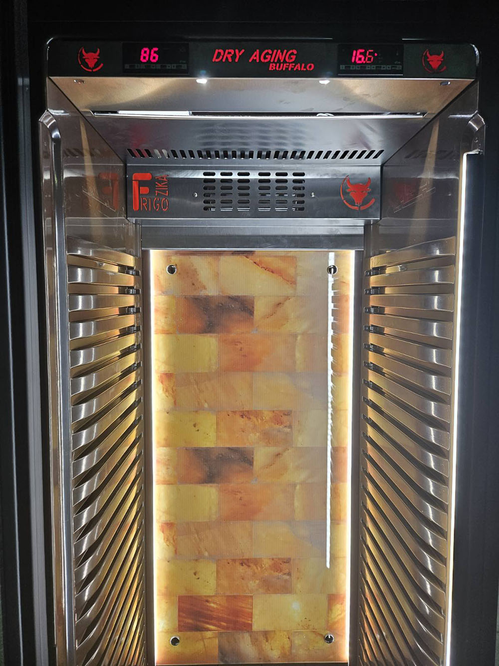 Himalayan salt panel