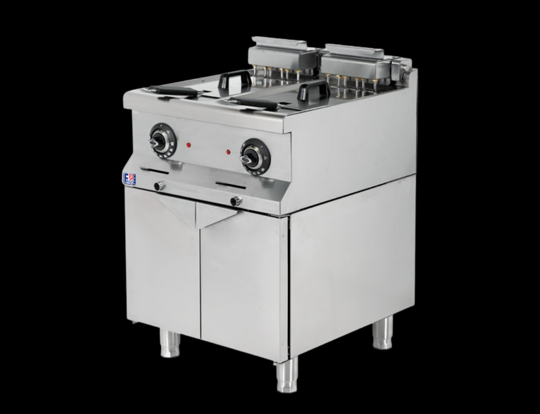Electric Fryer